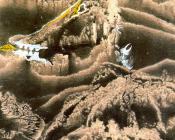 奥斯卡 多明戈斯 : Decalcomania Interpretada